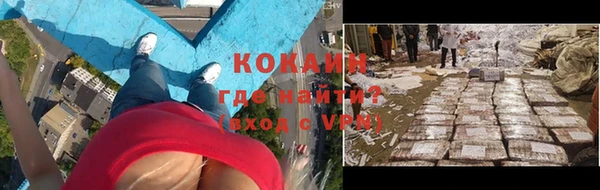 гидра Новозыбков