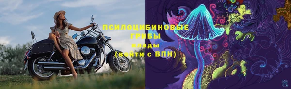 хмурый Нягань