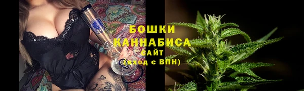 гидра Новозыбков