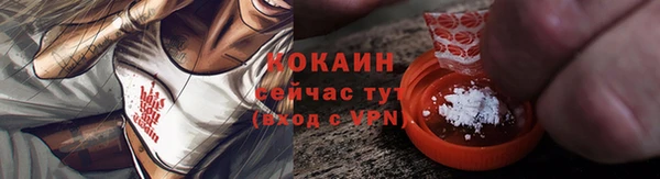 гидра Новозыбков