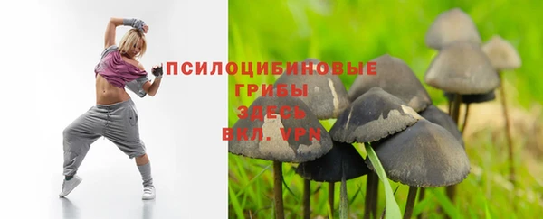 кристаллы Новокубанск