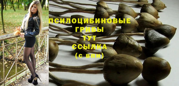кристаллы Новокубанск