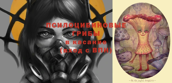 мяу мяу мука Новодвинск