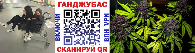hydra онион  Кодинск  Бошки марихуана ГИДРОПОН 